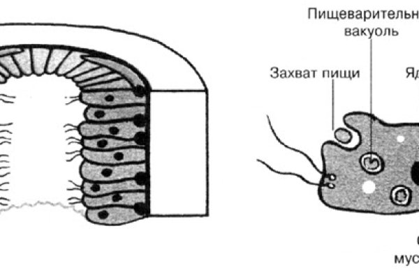 Кракен вход ссылка