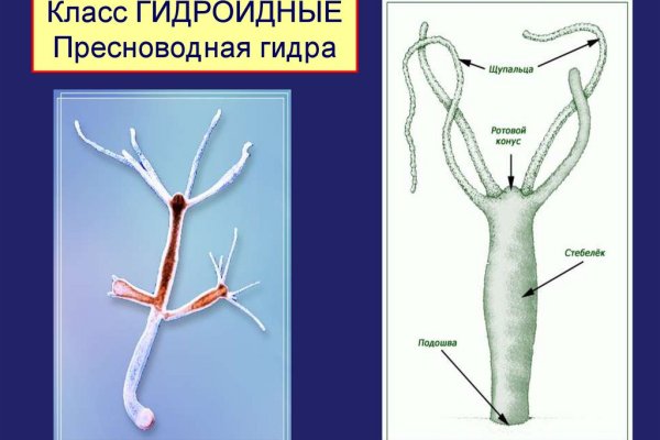 Как войти в кракен